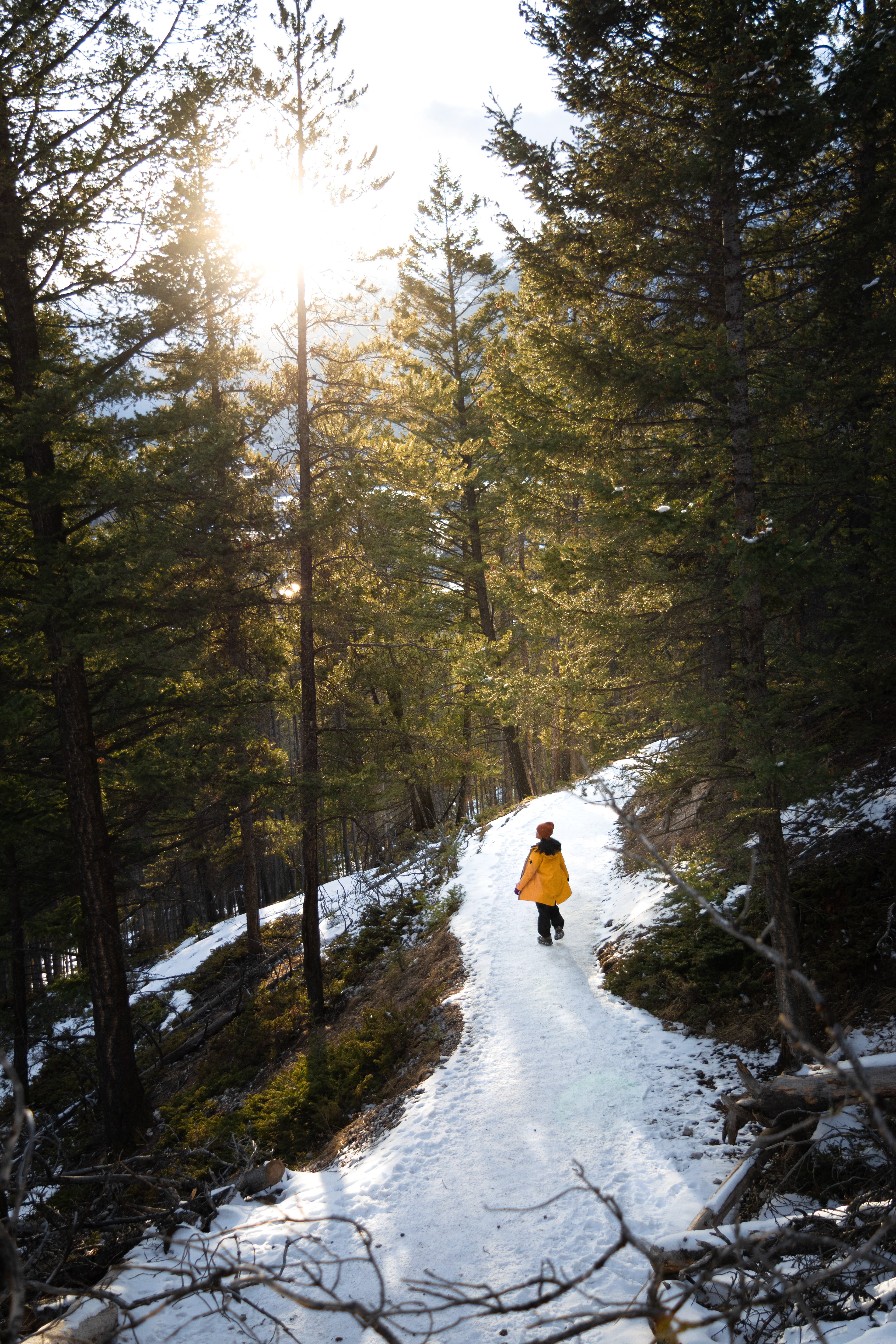 Tunnel Mountain Trail, Banff