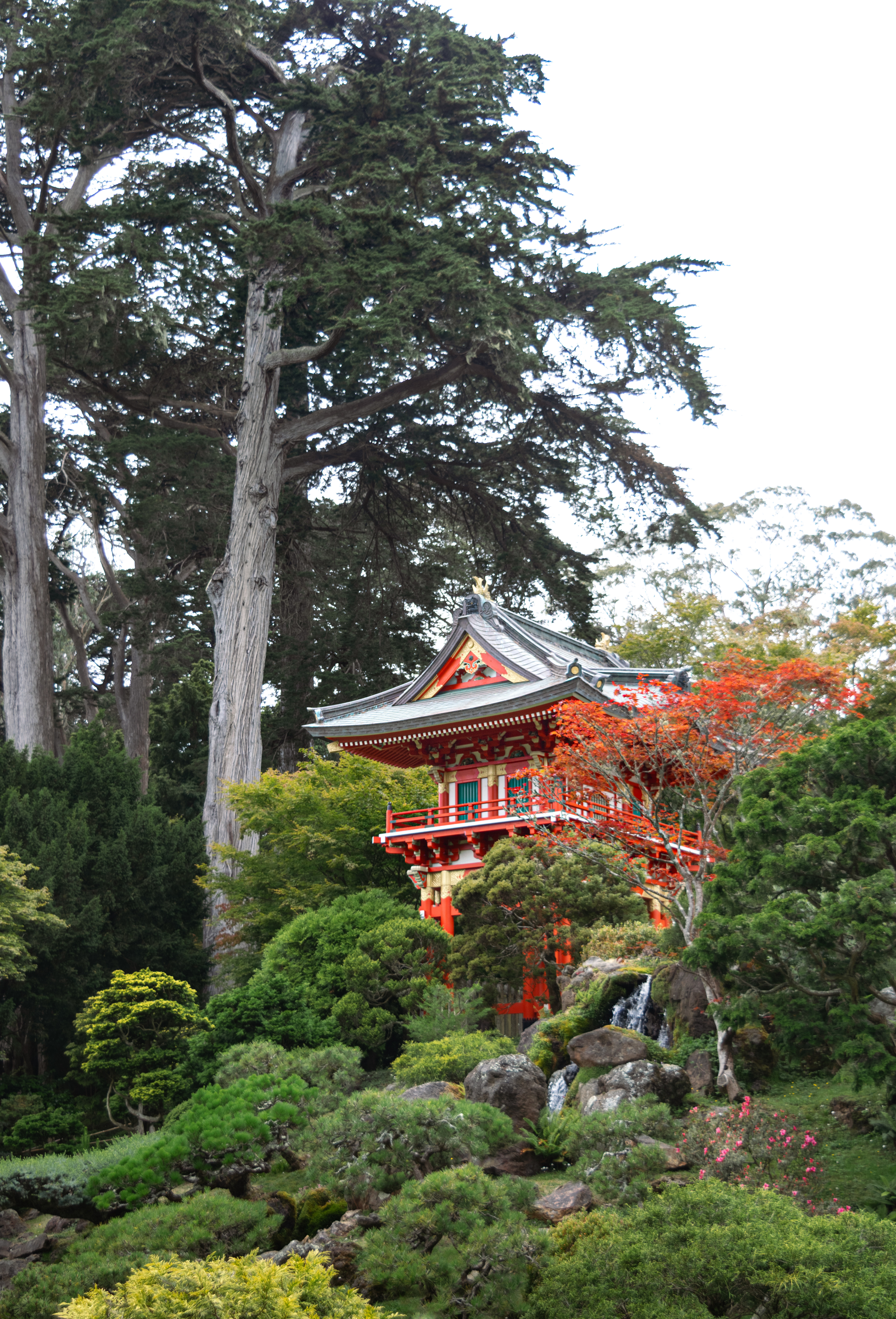 Japanese Tea Garden, SF