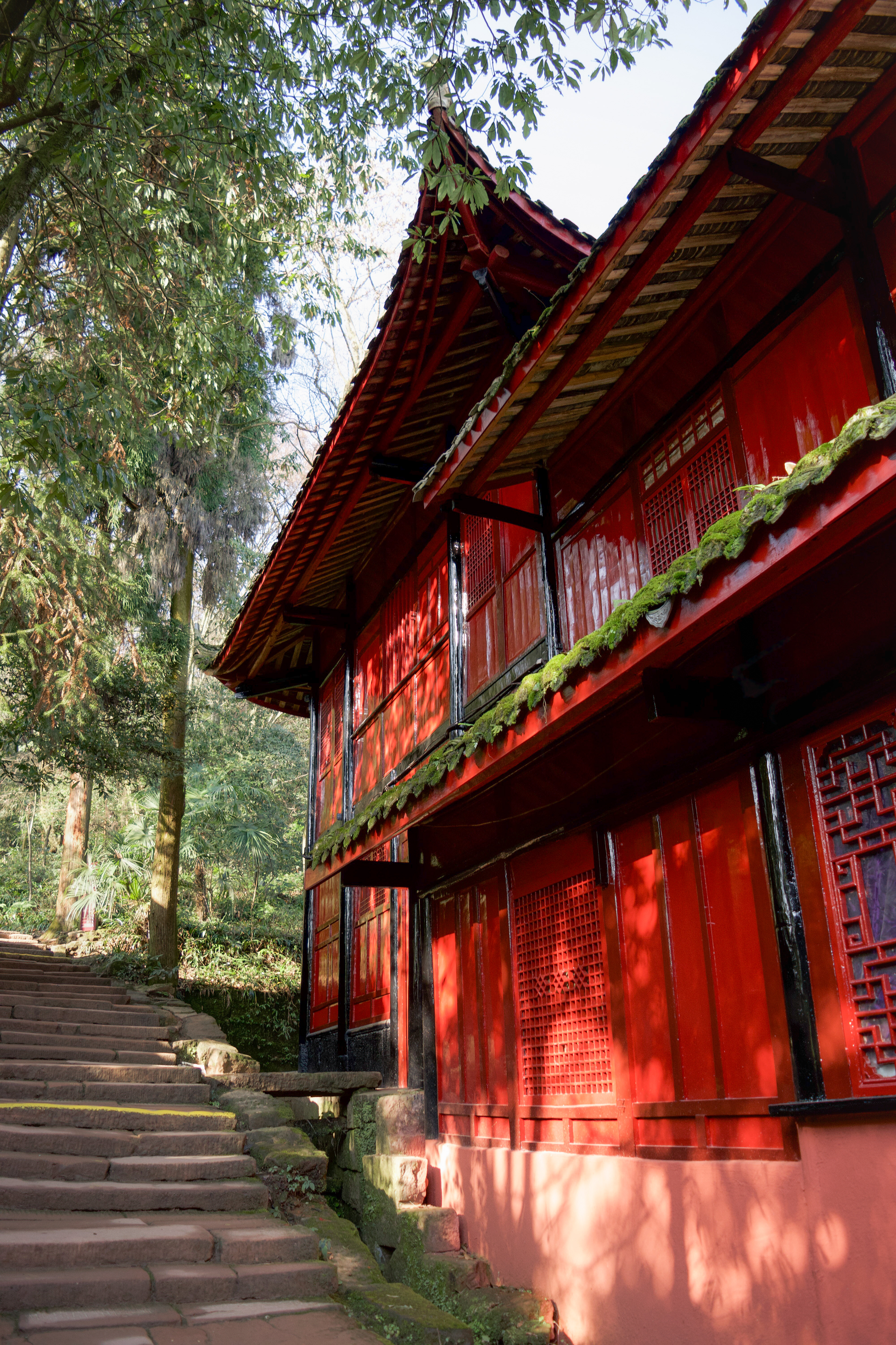 青城山 - Mount Qingcheng