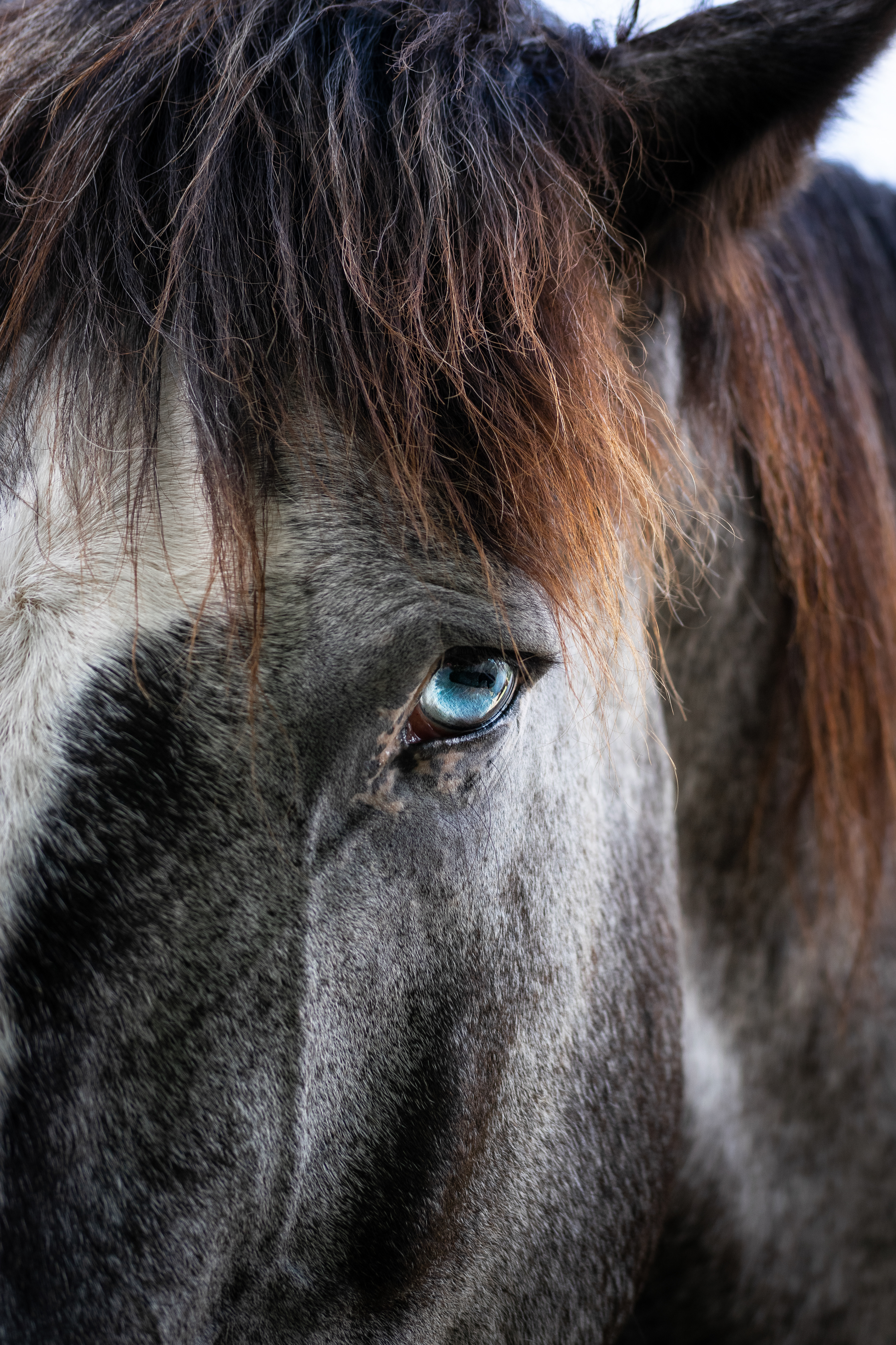 Cades Cove, Great Smoky Mountains