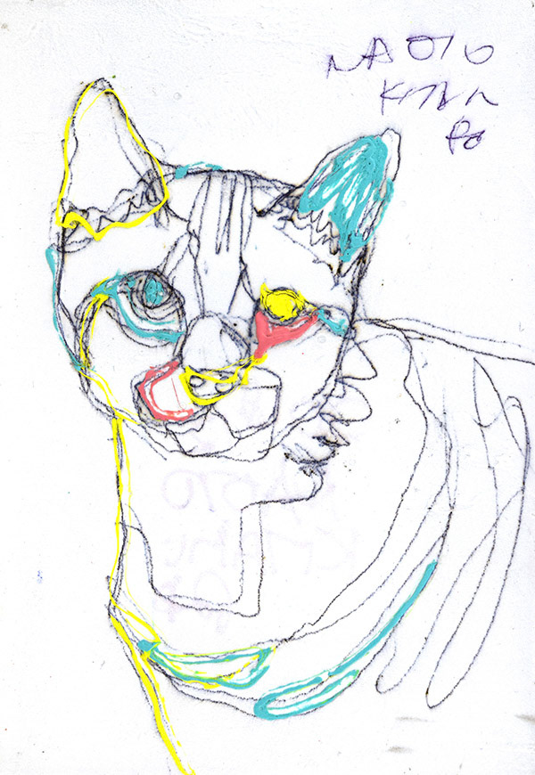 19954　君といると頭がおかしくなってしまう猫