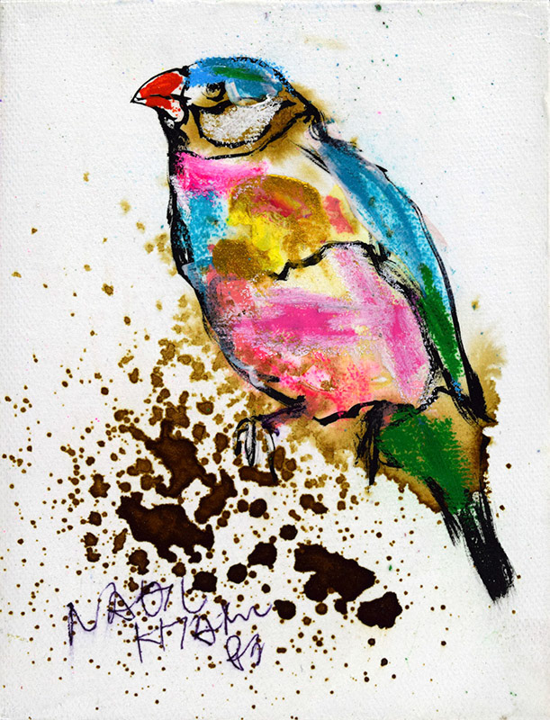 20525　私はこんなにも愛に飢えているの　文鳥