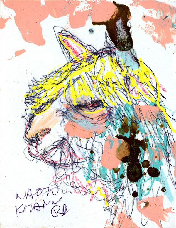 19944　ほんとは自信が無いのを悟られない様にしてるのかも　アルパカ