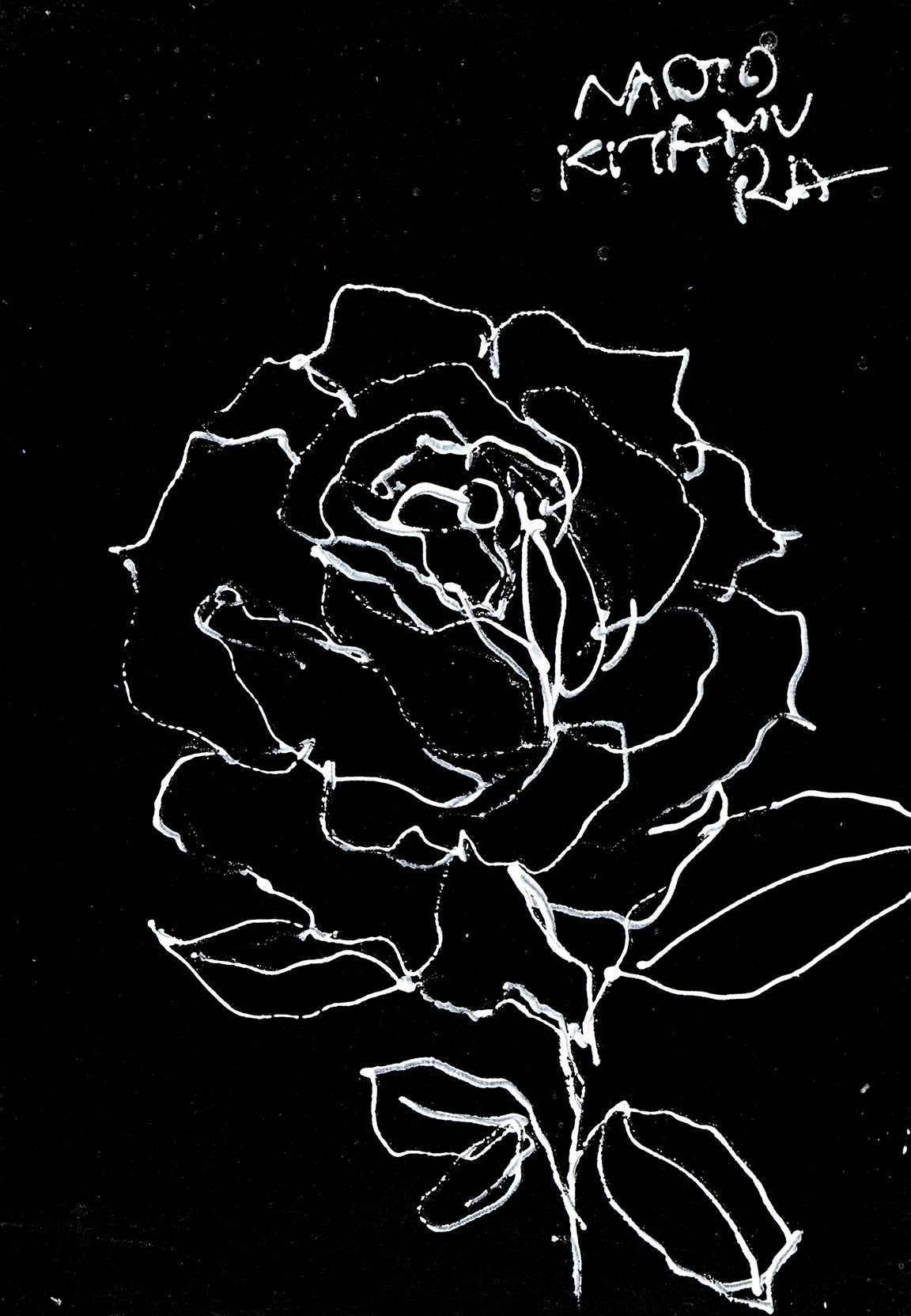 20725　薔薇