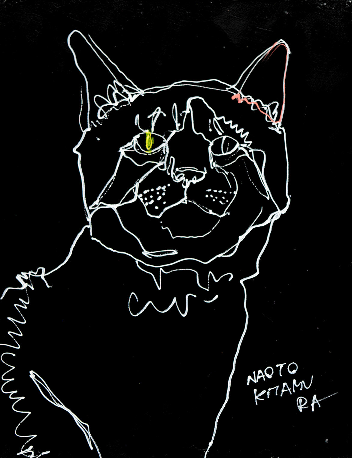 20784　ほんと言ったもん勝ちの世の中だよね　黒猫