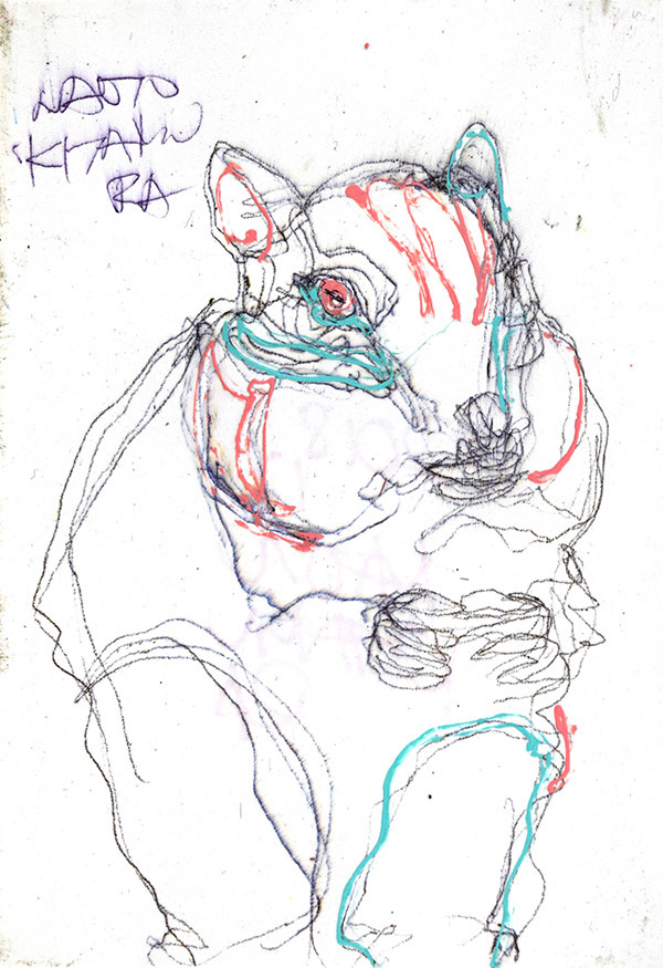 19965　わざとプライドが高そうに振る舞うのはリス