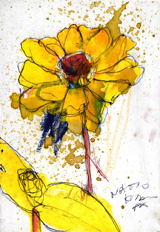 21602　世界ってやっぱ広過ぎやわぁ　花