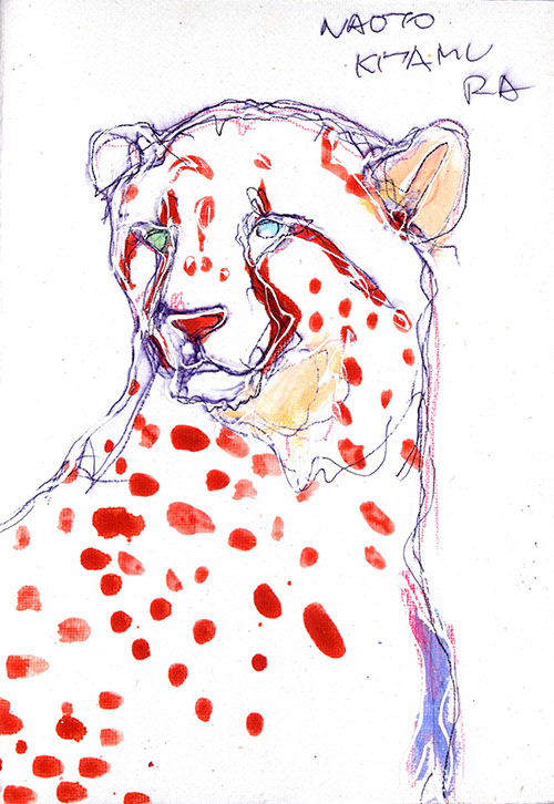 19055　まだリッチじゃないけど 文無しでもない　チーター