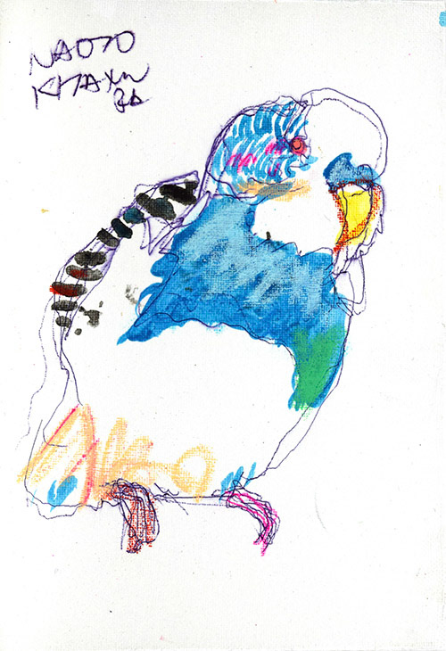 19044　俺は刺激的 言葉はいらない　インコ