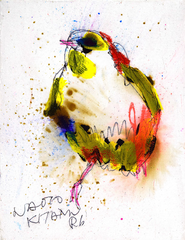 21235　まだがんばれってか　鳥