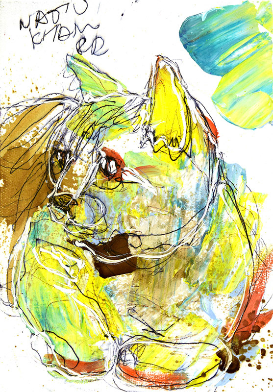 20151　キャベツ猫