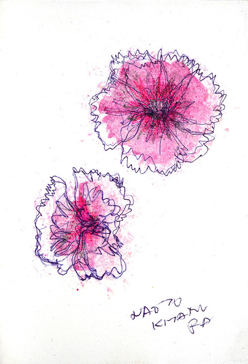 19014　どこかで後ろめたい気持ちがあるからやろなあ　花