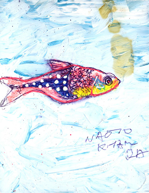 18914　今が幸せなら後は落ちるだけだけだな！　小魚