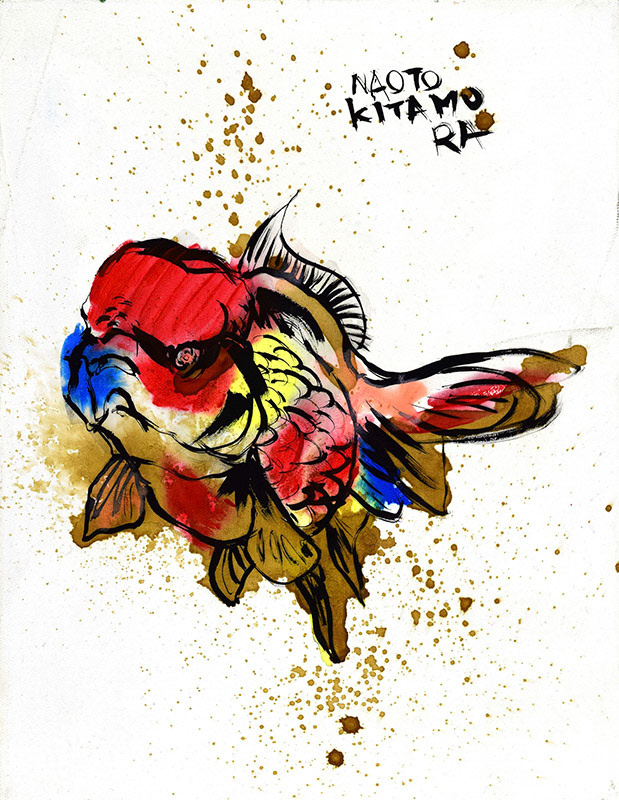 20997　異性としてはどうなのよ？　金魚