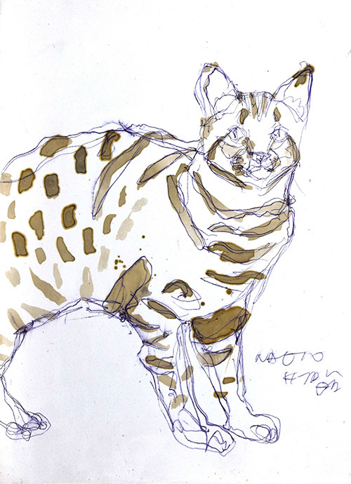 19341　お嫁さんにしたいタイプだわ　ネコ