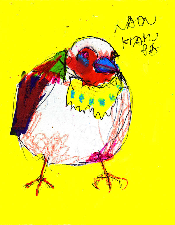 19819　この人と愛情をもって一生暮らしていけそうか？見てるのよ鳥