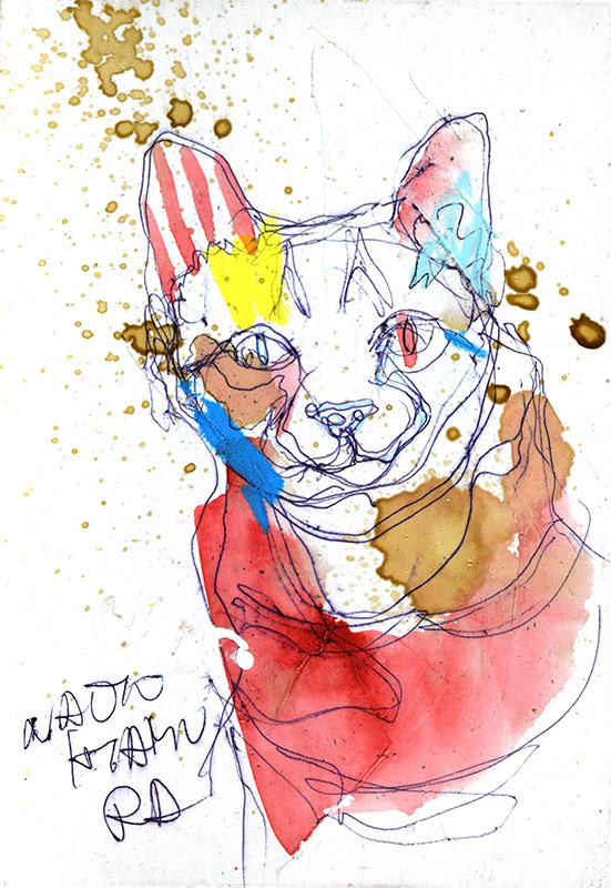 18304　だから一見何もしてないように見える猫
