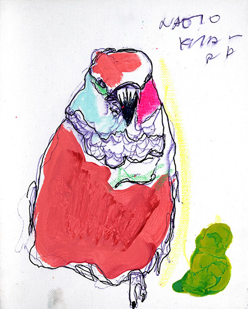 19021　能動的に動けない奴は間違いなく苦労する　インコ