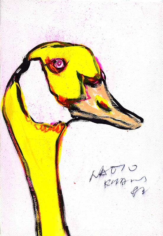 20900　そんなことあるはずないでしょ…　鴨