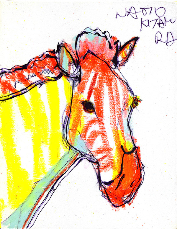 19941　良くなるだろうって自分に言い続ける　シマウマ