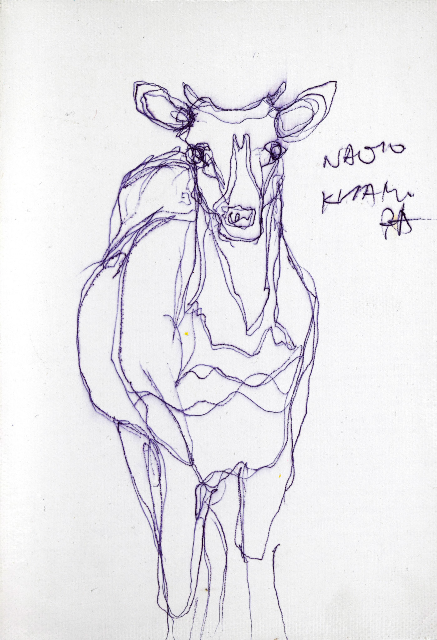 19016　僕は自分が持てないものを追い求めてる　鹿