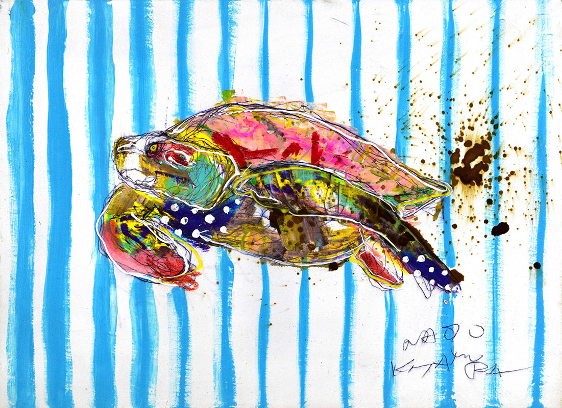 19912　自分の要求を満たしてくれる人は誰もいなかった　ウミガメ