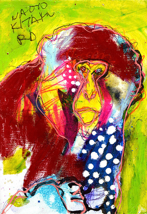 19011　何だかんだ他人とのコミュニケーションって大事だよ　サル