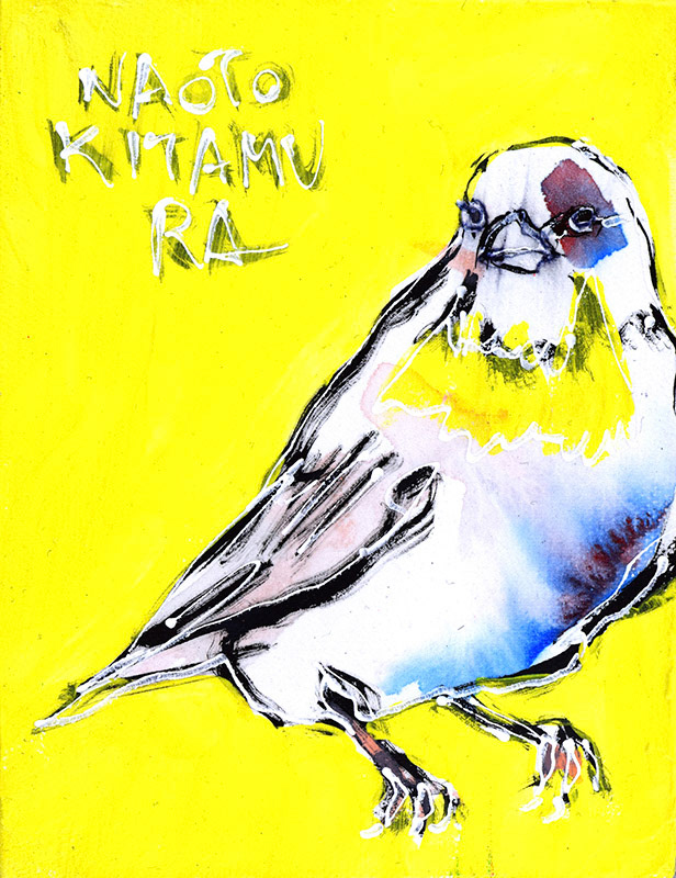 20857　多分みんなしてるだろうに何で俺だけ悪者みたいになんのよ　鳥