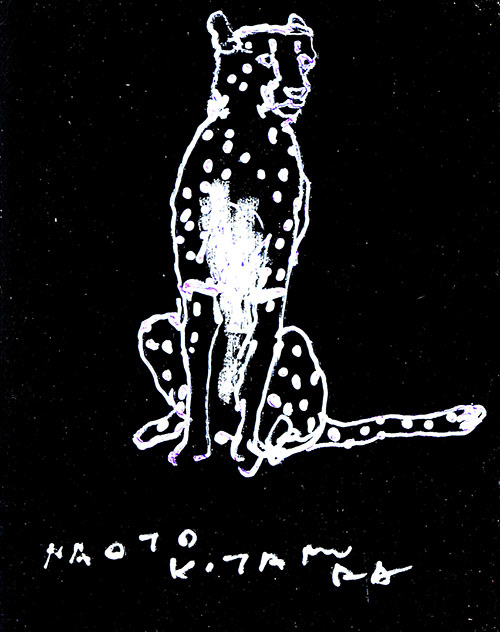 18908　お互い自分のことしか考えてないっからこんな状態なのかなチーター