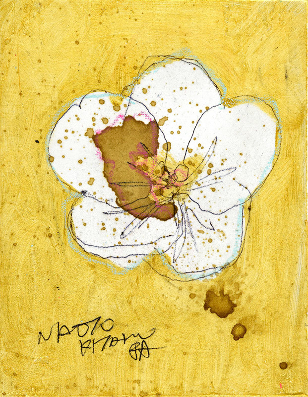 21959　窓から見える花