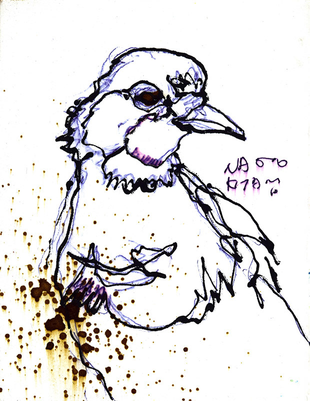 20378　明日には自分がイヤになってるかもしれない　鳥
