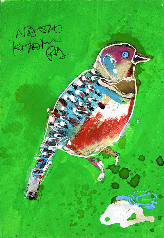 21779　レベル高いとこに身を置きゃ色々見えてくるでしょ？　鳥
