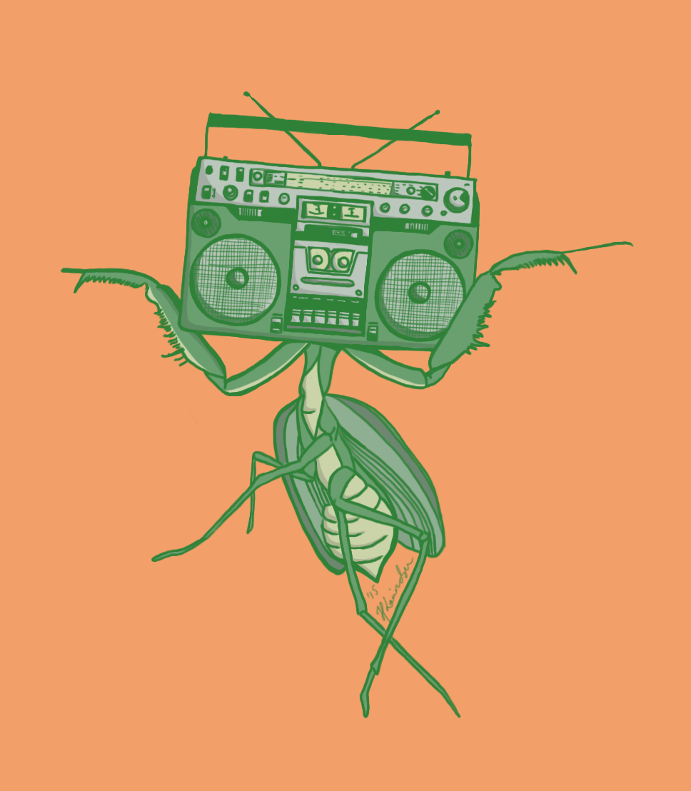 Mantis