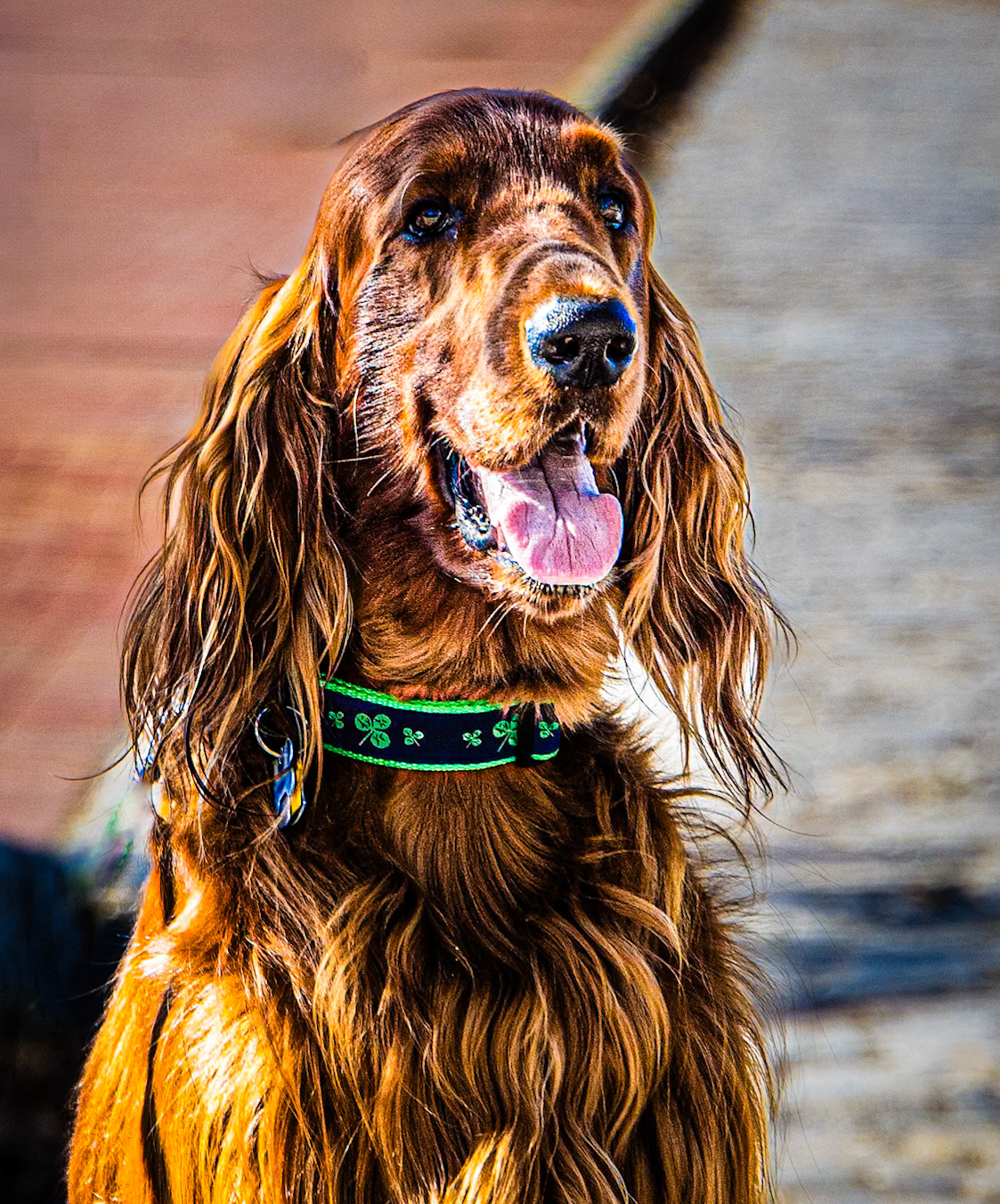 Can't do a thing with this hair