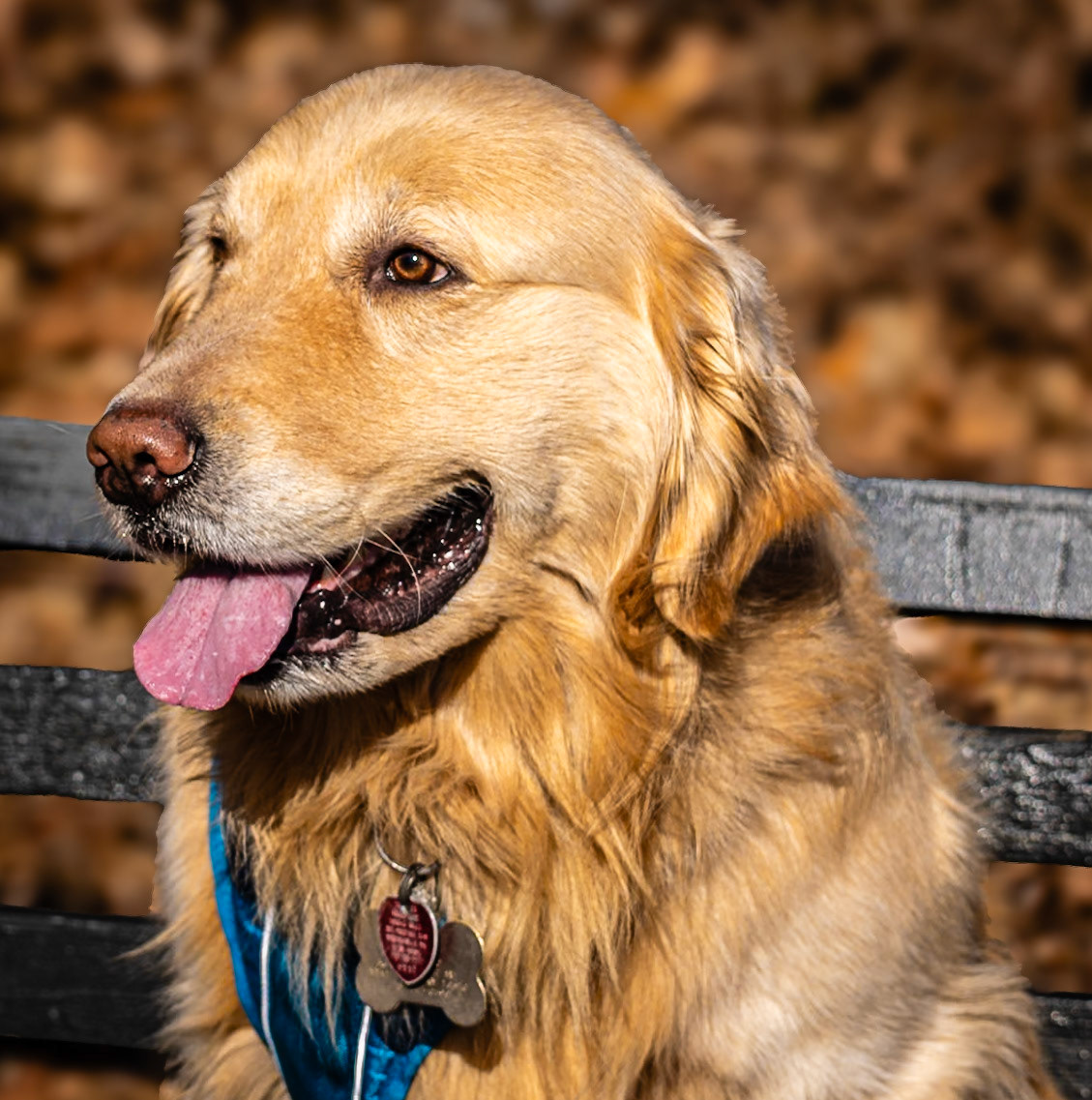 Keeping my eye on the Treats
