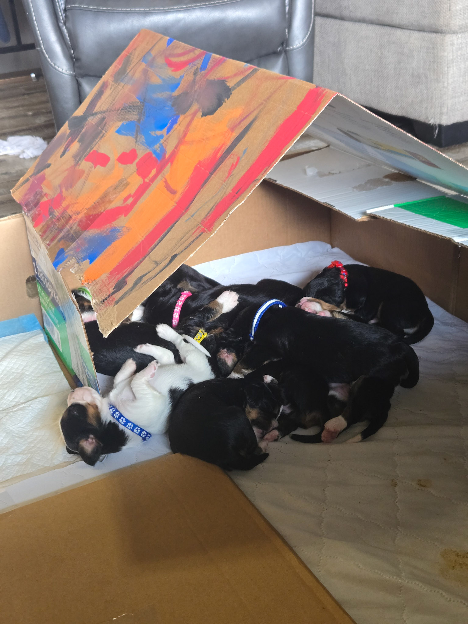Dog Pile Naps 
