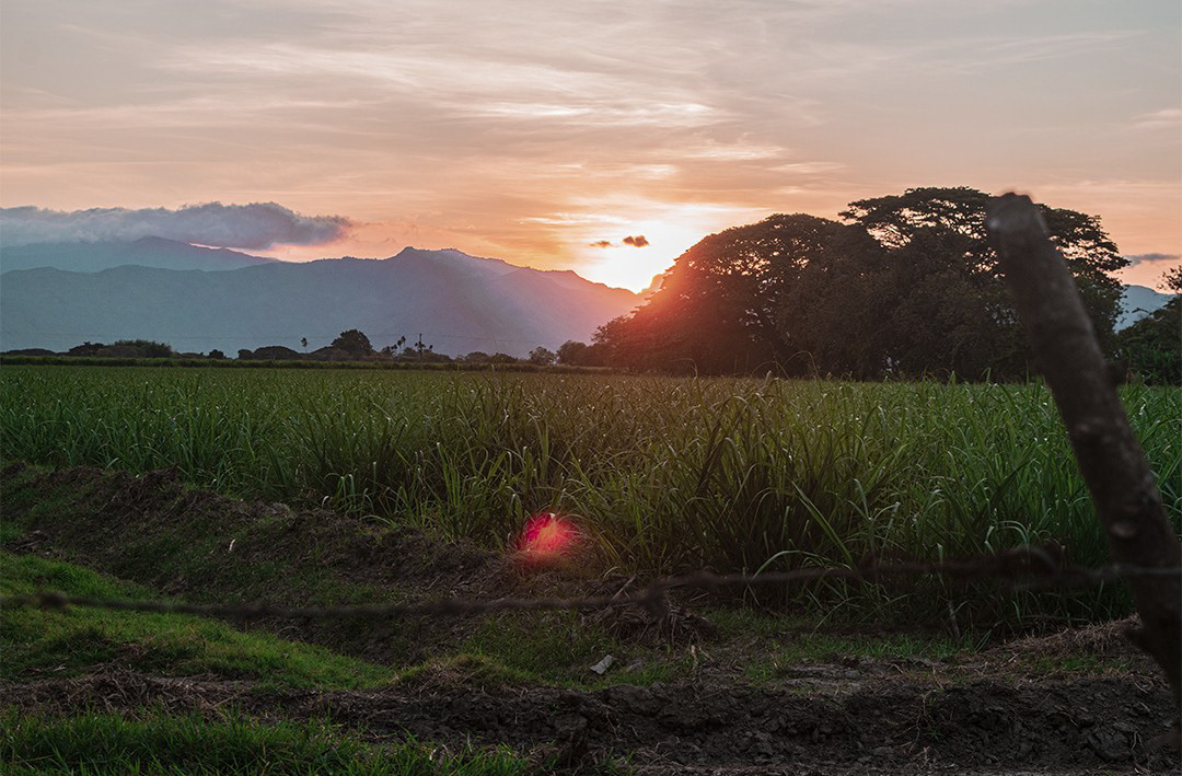 Fotografía documental de paisaje rural en entorno agrícola del Valle del Cauca, Colombia, que refleja el territorio.