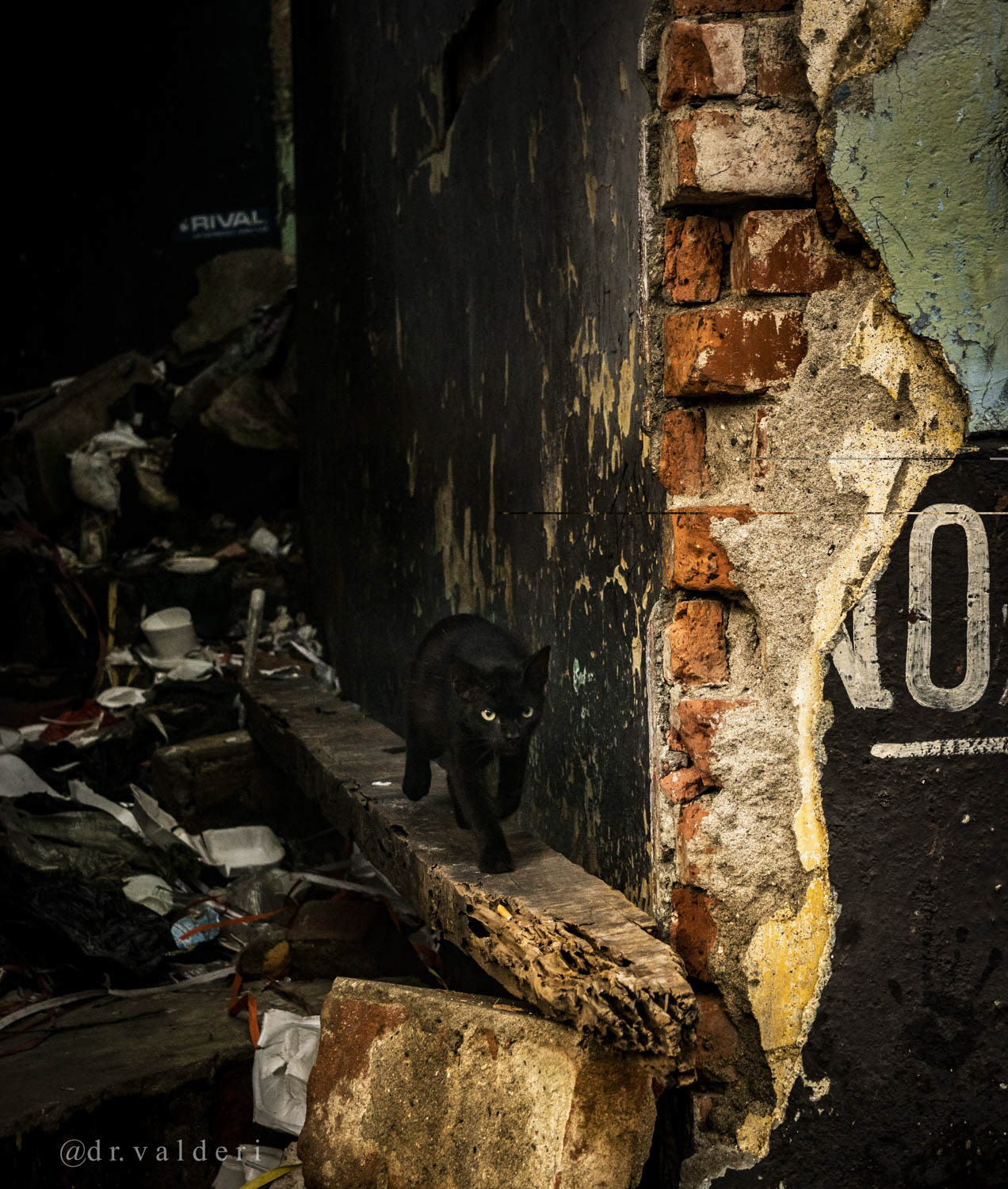 Fotografía urbana documental en espacio abandonado.