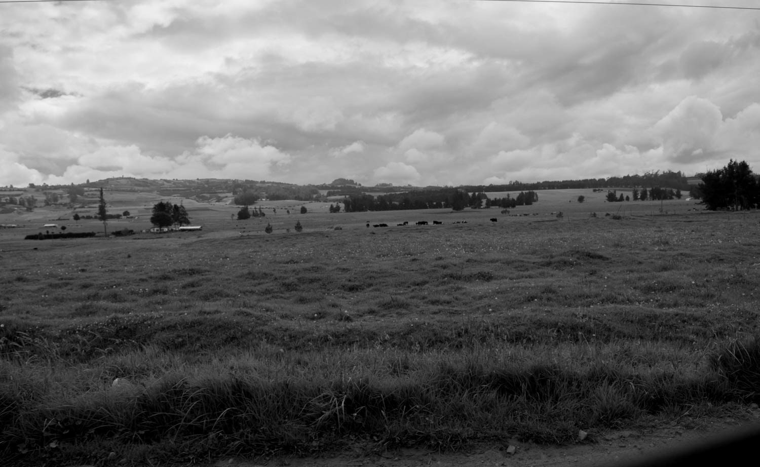 Fotografía en blanco y negro de paisaje rural abierto con praderas extensas, árboles dispersos y cielo nublado