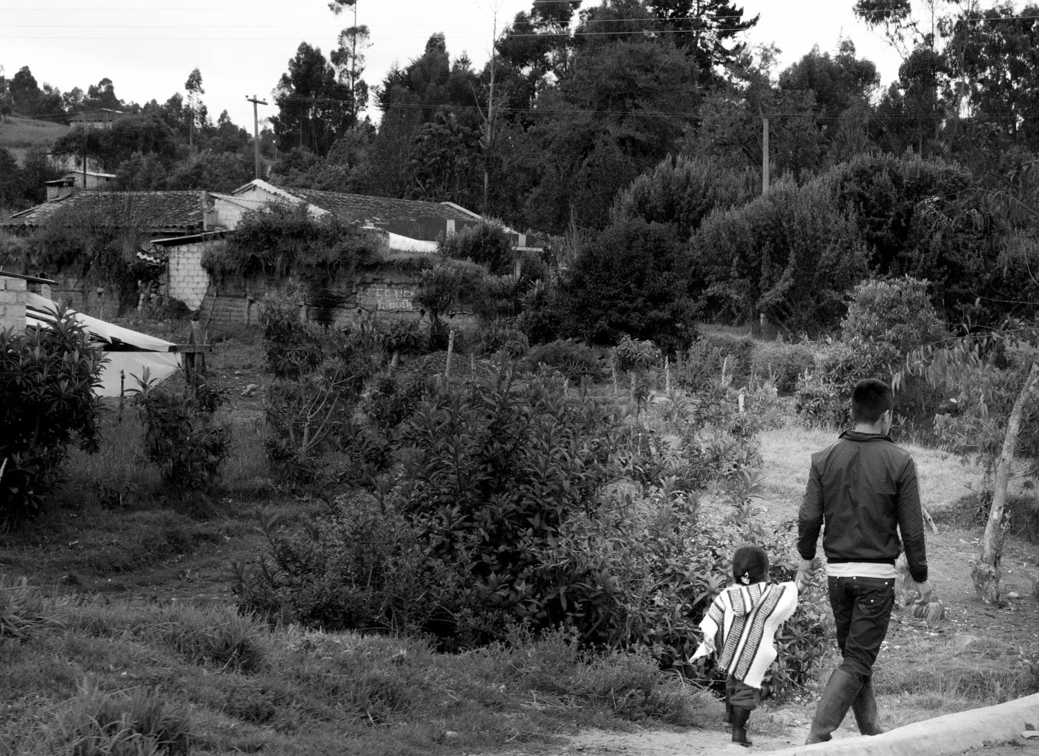 Fotografía en blanco y negro de hombre y niño caminando por sendero rural entre cultivos, casas campesinas y vegetación densa
