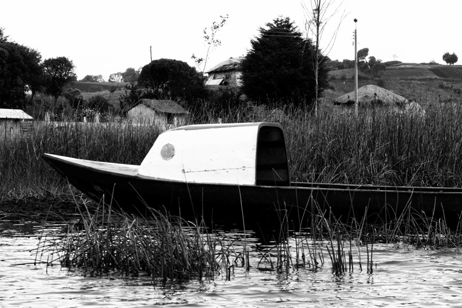 Fotografía en blanco y negro de bote de madera anclado entre juncos en lago rural con viviendas al fondo