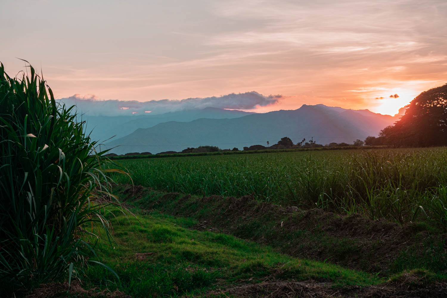 Fotografía documental de paisaje rural en entorno agrícola del Valle del Cauca, Colombia, que refleja el territorio.
