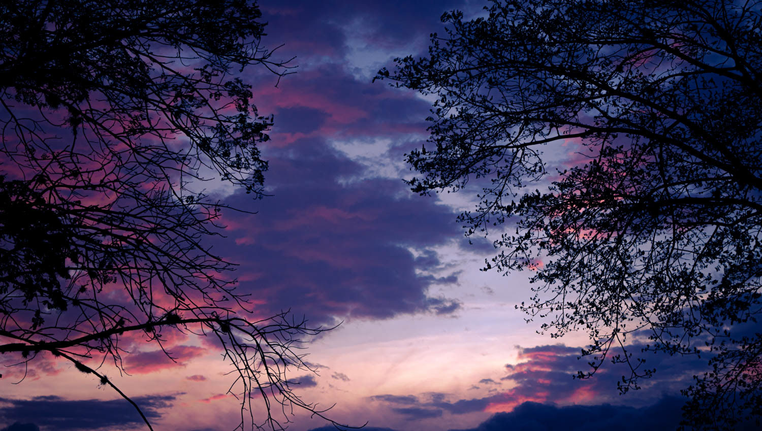 Fotografía documental de paisaje natural en entorno rural del Valle del Cauca, Colombia, que refleja el territorio.
