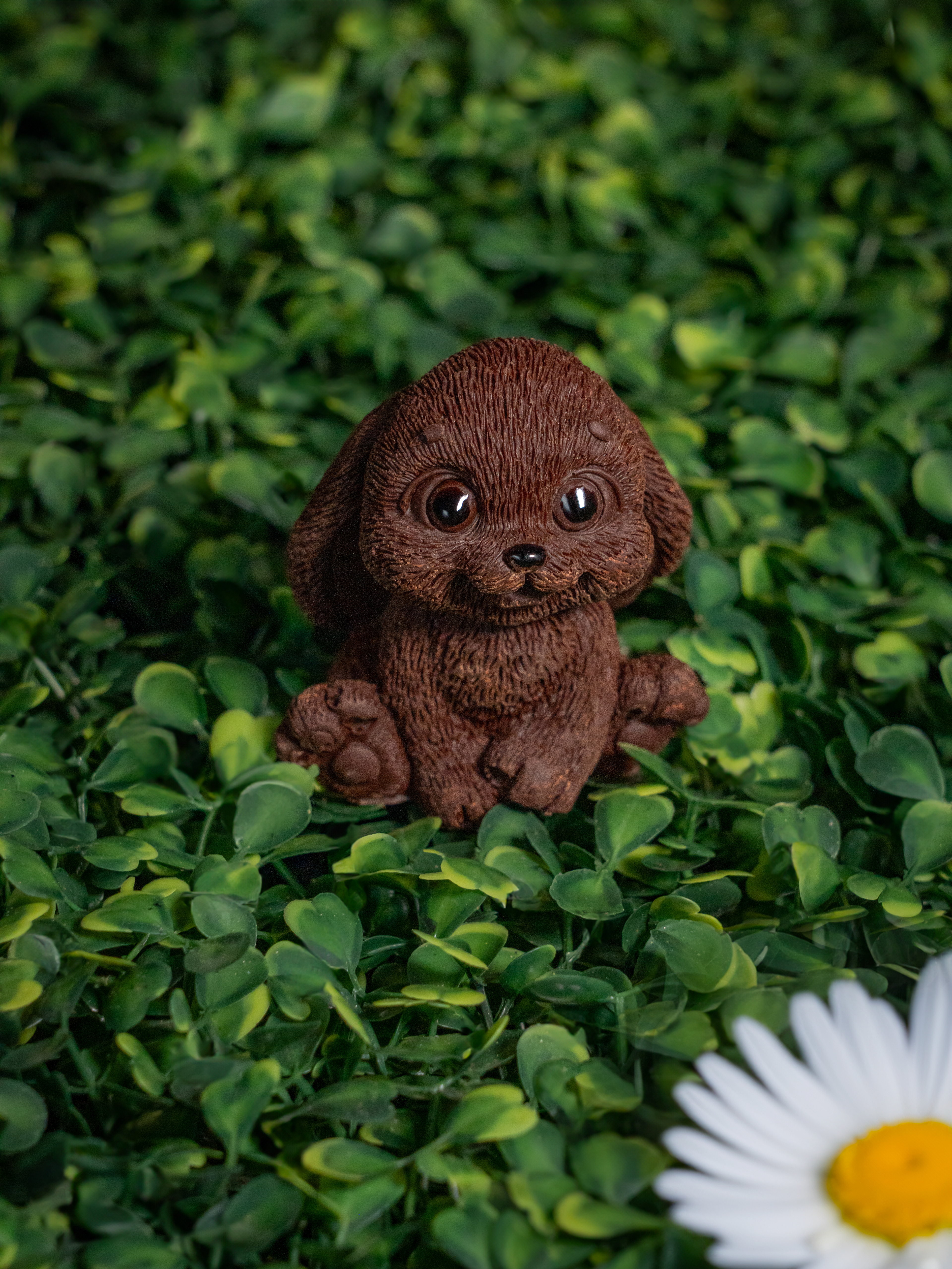 Photographie animalière en chocolat - Pâques 2025 - Chocolaterie Goutte émoi