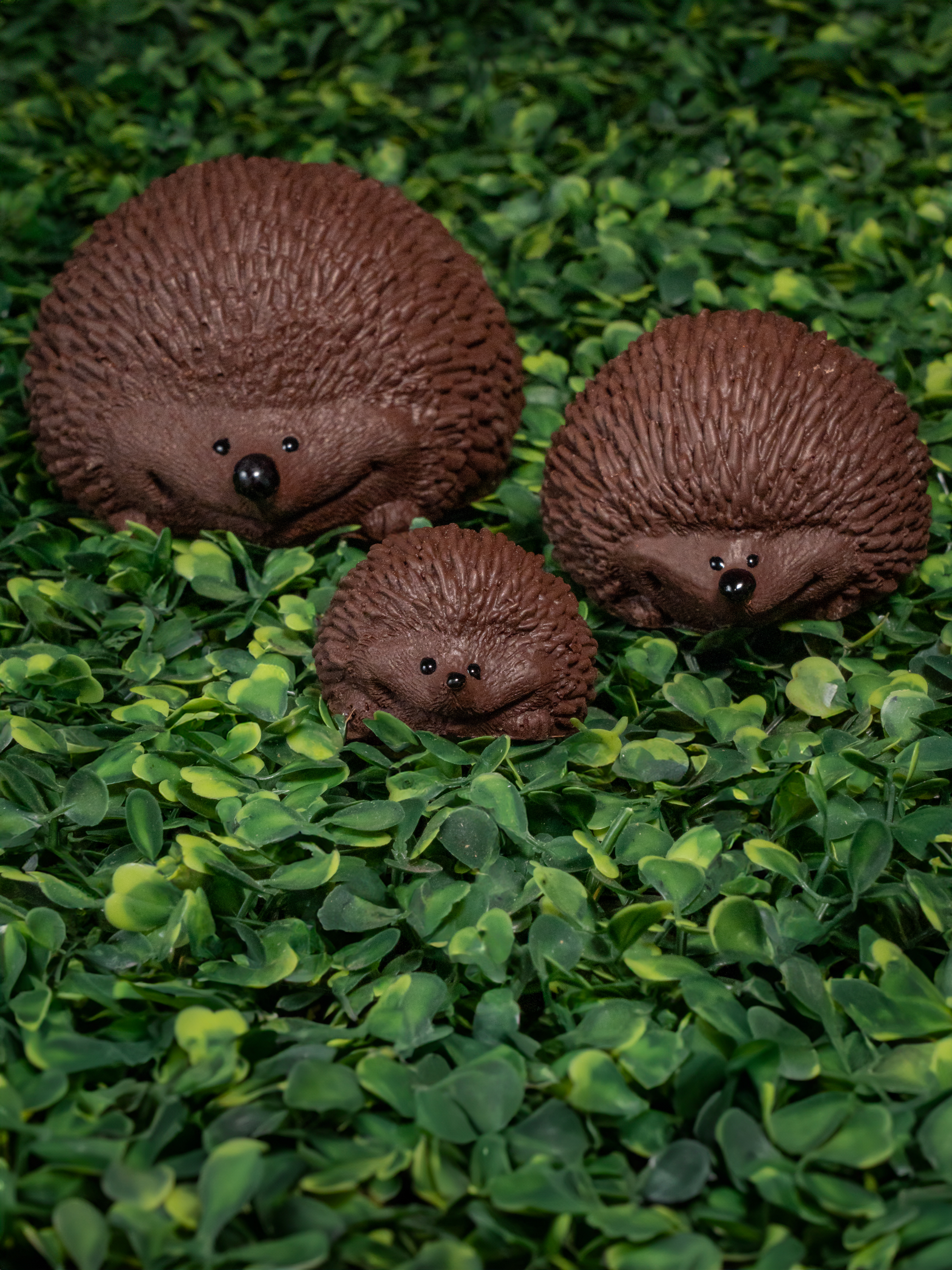Photographie animalière en chocolat - Pâques 2025 - Chocolaterie Goutte émoi