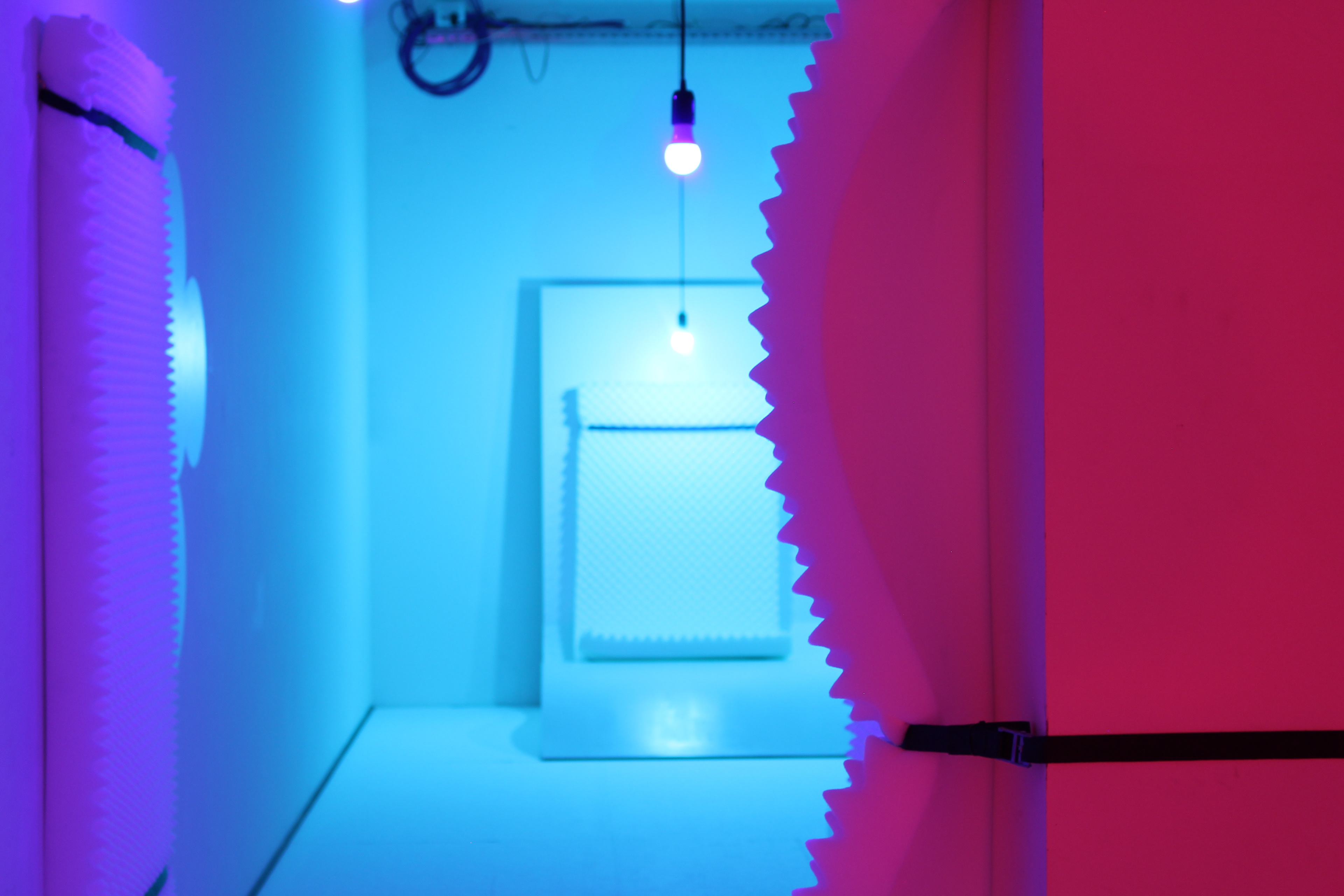 Dutch Design Week 2019 - Projet Homosensorium (w/Studio Raphaël Coutin)