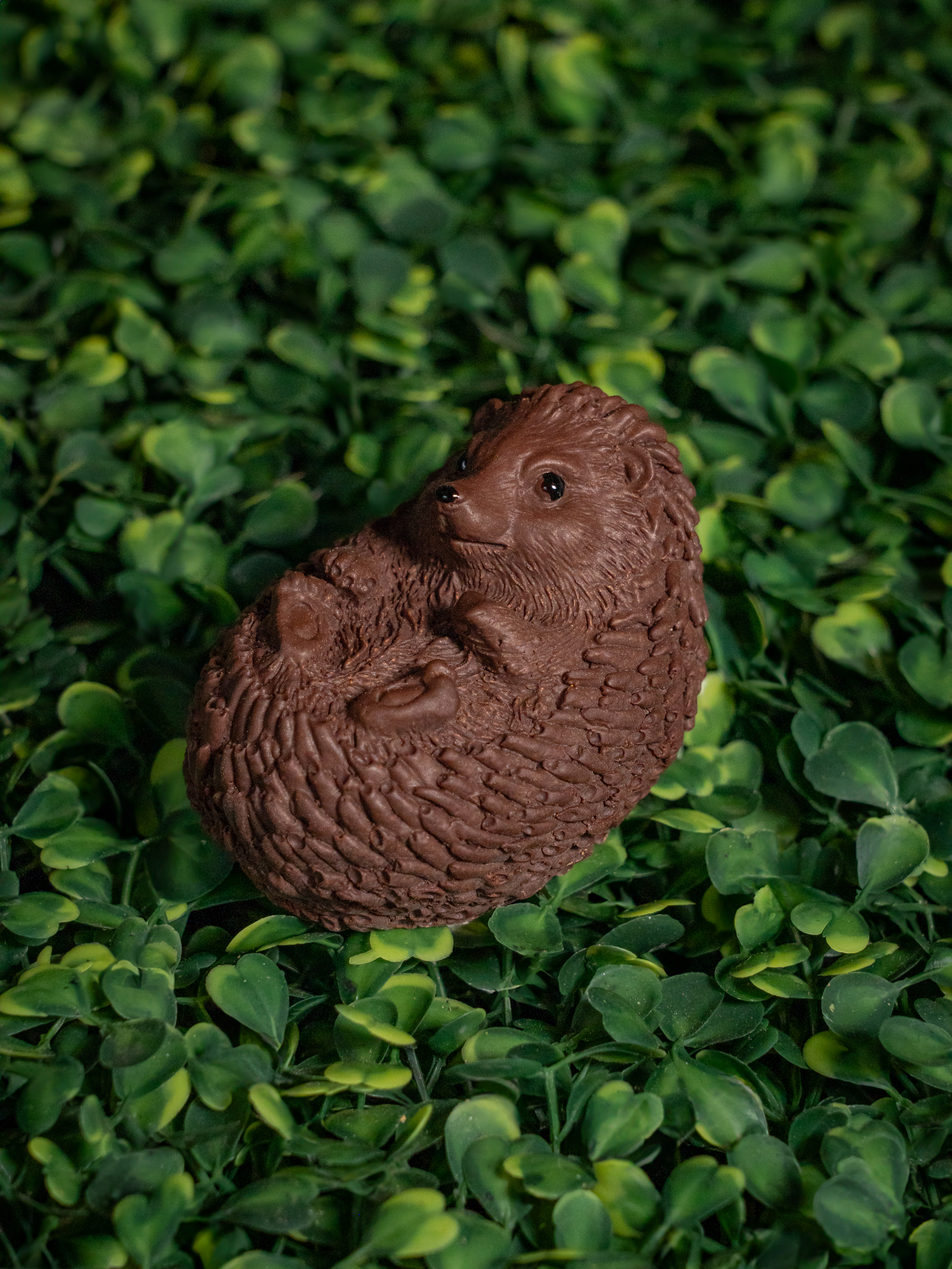 Photographie animalière en chocolat - Pâques 2025 - Chocolaterie Goutte émoi