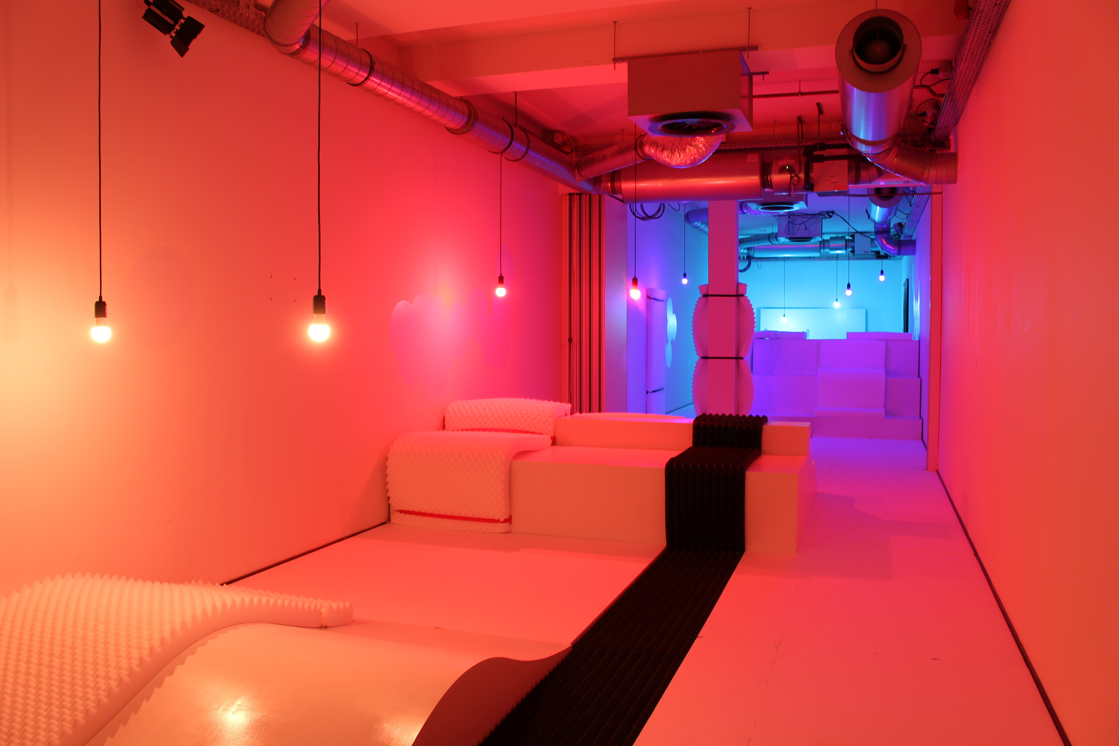 Dutch Design Week 2019 - Projet Homosensorium (w/Studio Raphaël Coutin)