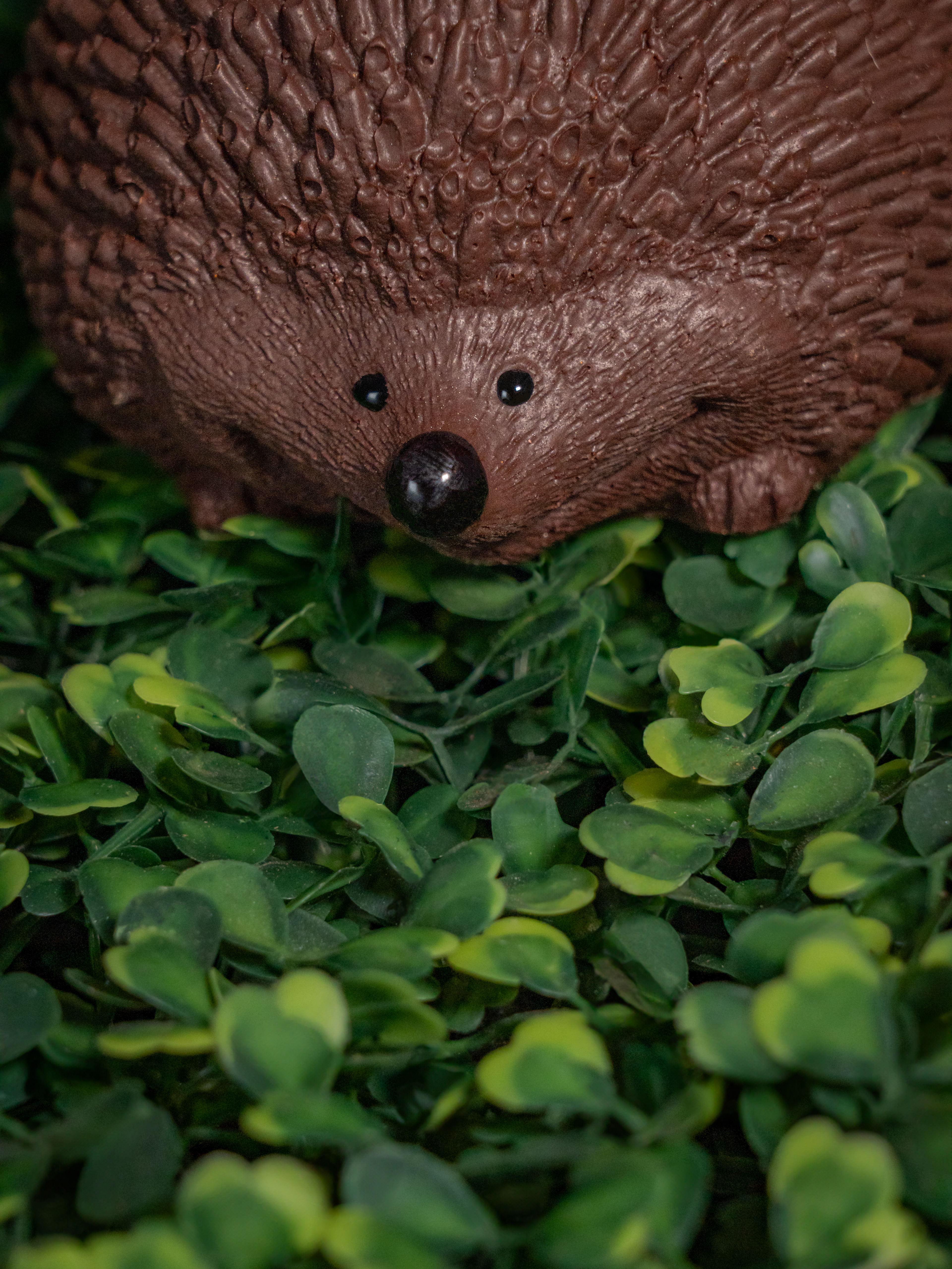 Photographie animalière en chocolat - Pâques 2025 - Chocolaterie Goutte émoi