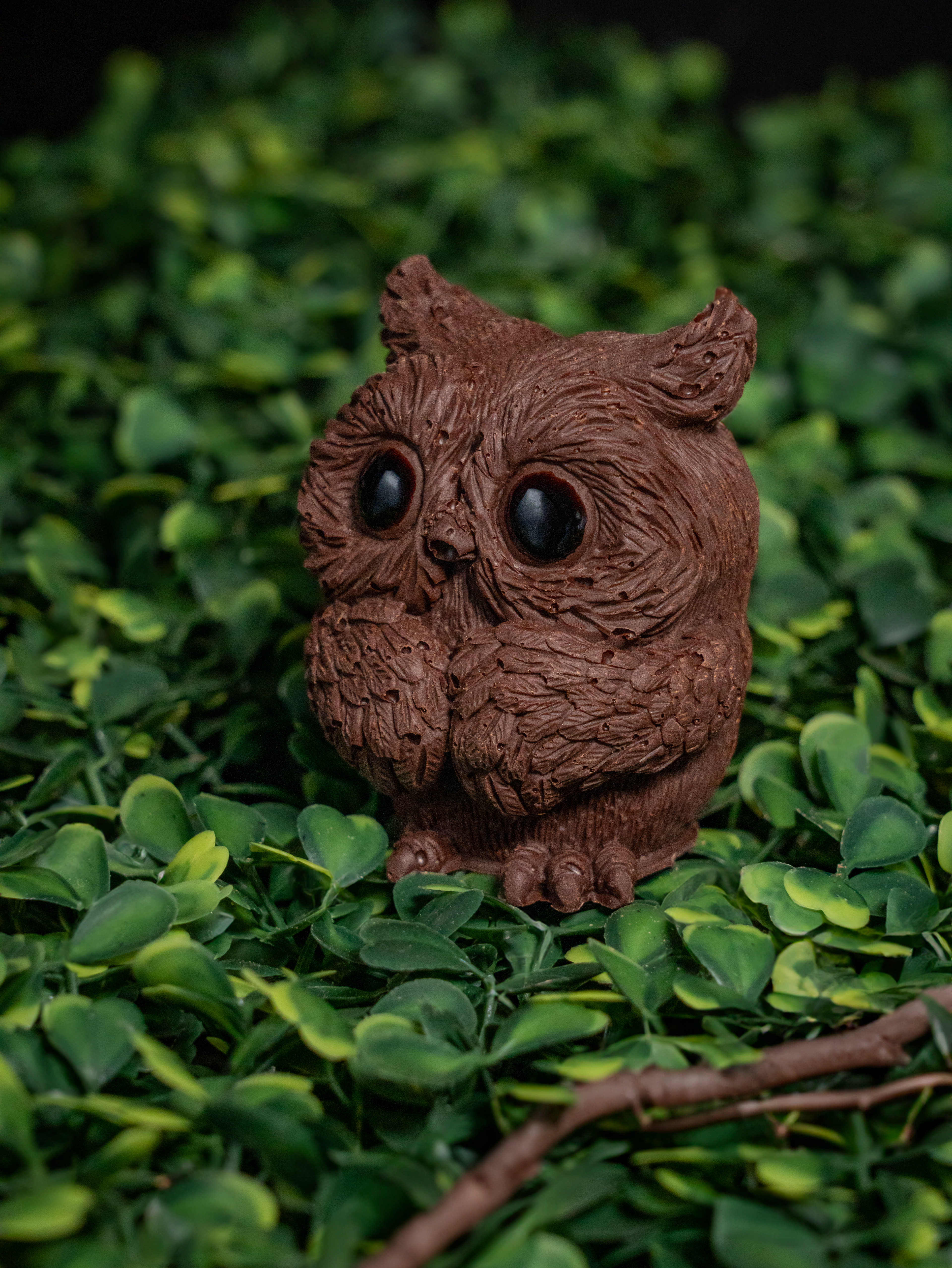 Photographie animalière en chocolat - Pâques 2025 - Chocolaterie Goutte émoi